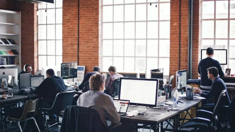 Как выбрать веб-студию в Сочи по кейсам