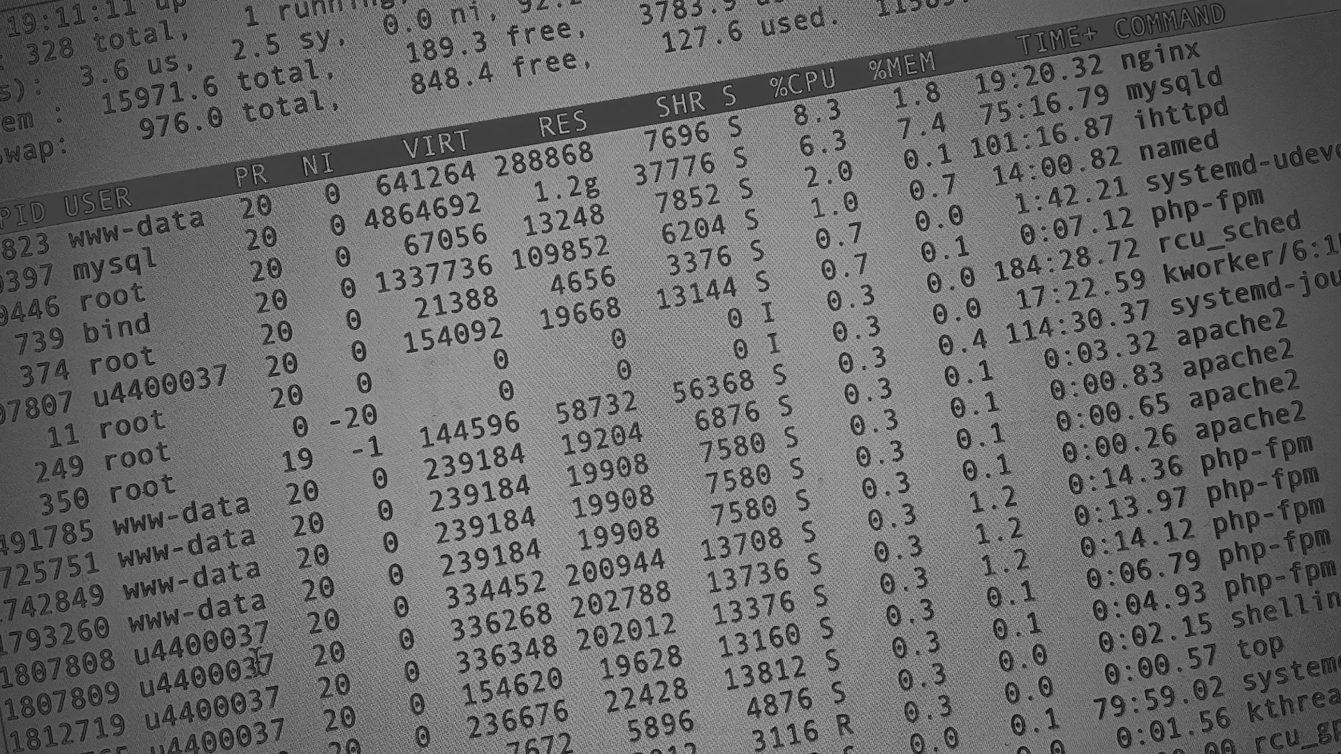 Настройка сервера в Сочи