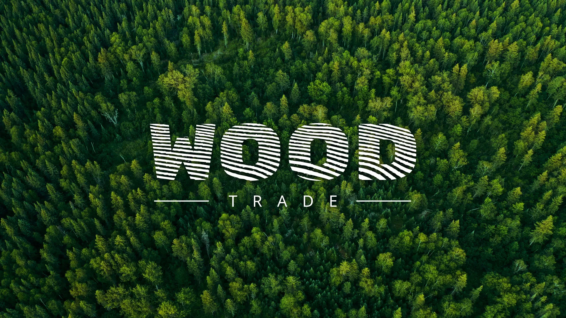 Разработка интернет-магазина компании «Wood Trade» в Сочи