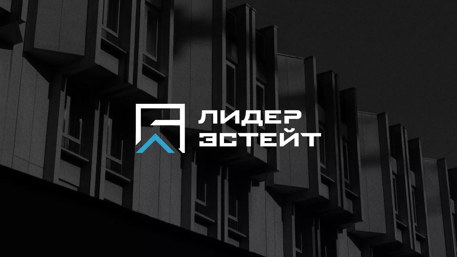 Разработка логотипа агентства недвижимости «Лидер Эстейт» в Сочи